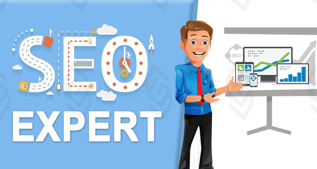 Do you want an on-page SEO expert?